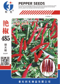 科光種苗“艷椒485”辣椒、“秋實1號”甘藍分別入選2025年農業(yè)主導品種、農作物優(yōu)良品種推廣目錄